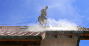 roof cleaning vancouver wa, roof cleaning service vancouver wa, professional roof cleaning service vancouver wa