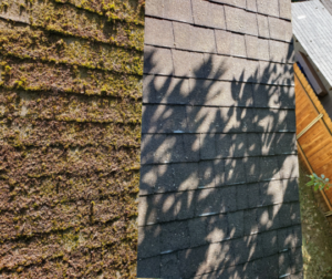 Split roof: mossy shingles left, shaded right